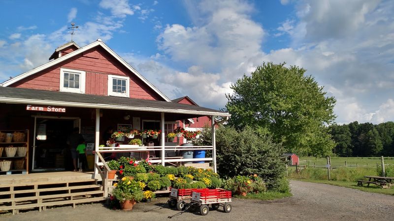 Seasonal Festivals That Turn Every Visit Into A Celebration Seasonal Festivals That Turn Every Visit Into A Celebration