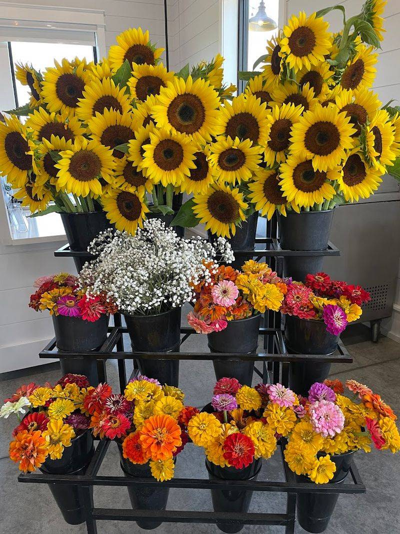 Seasonal Festivals Transform The Farm Into Something Extra Special