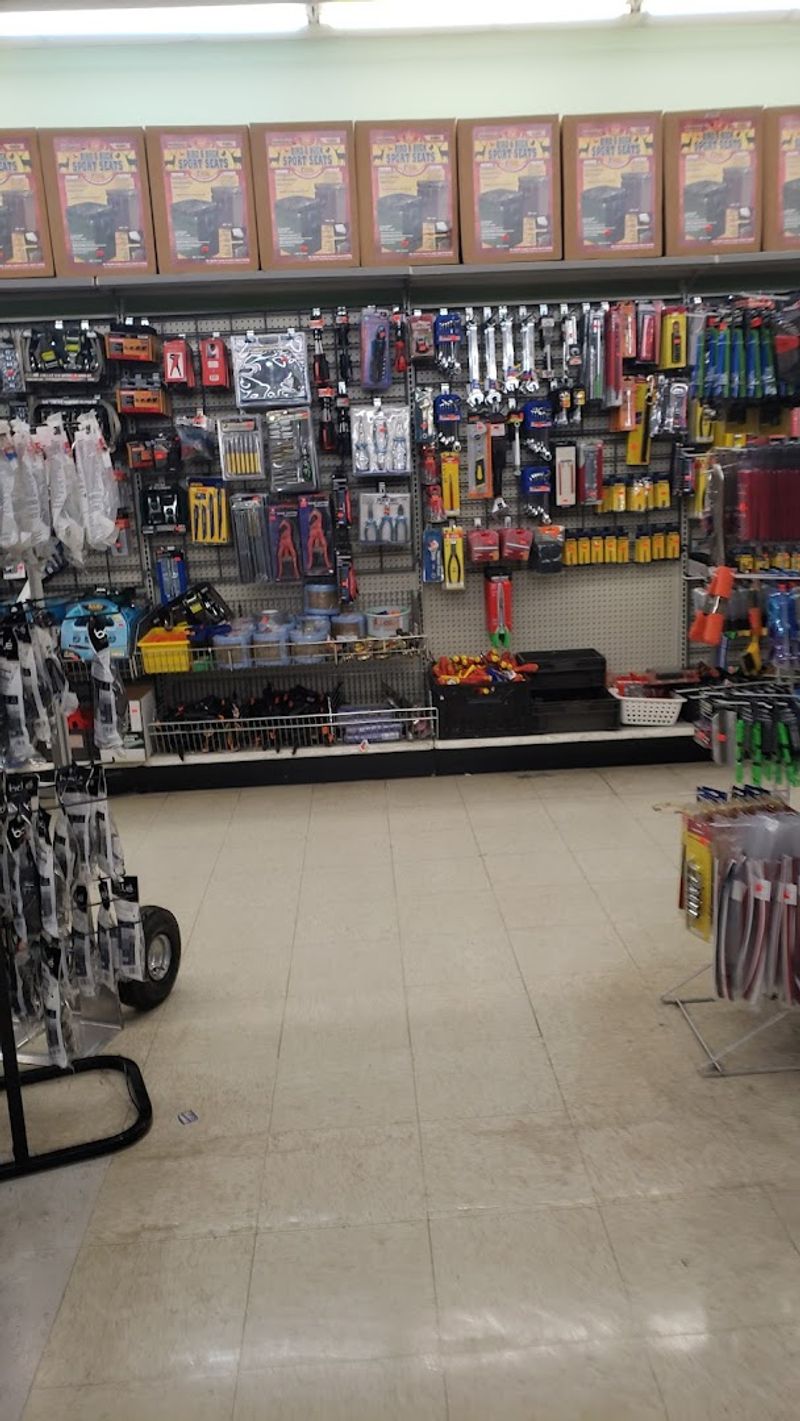 Practical Items Mixed With Quirky One-Off Products