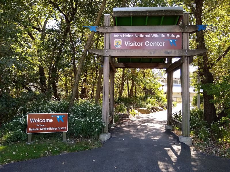 Practical Tips for Your Visit