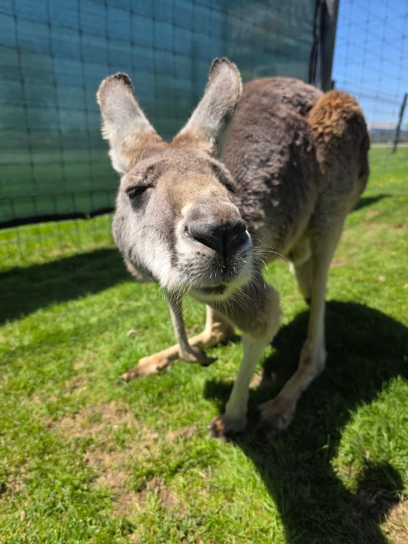 Special Experiences and Unique Events