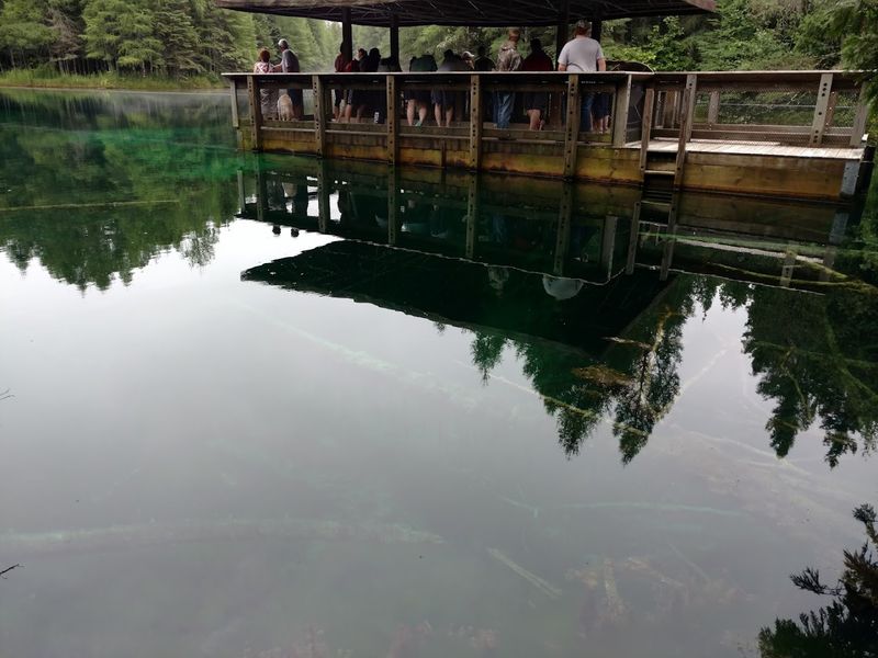 Wildlife You Will Actually See