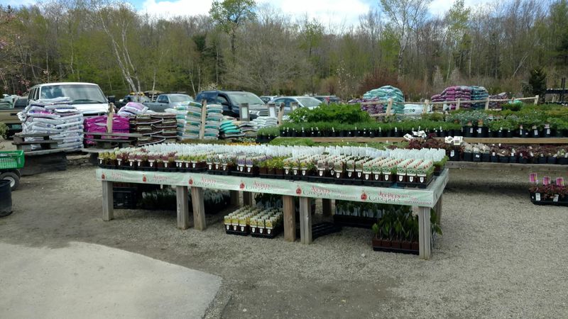 Seasonal Magic From Spring Sales To Christmas Ornaments