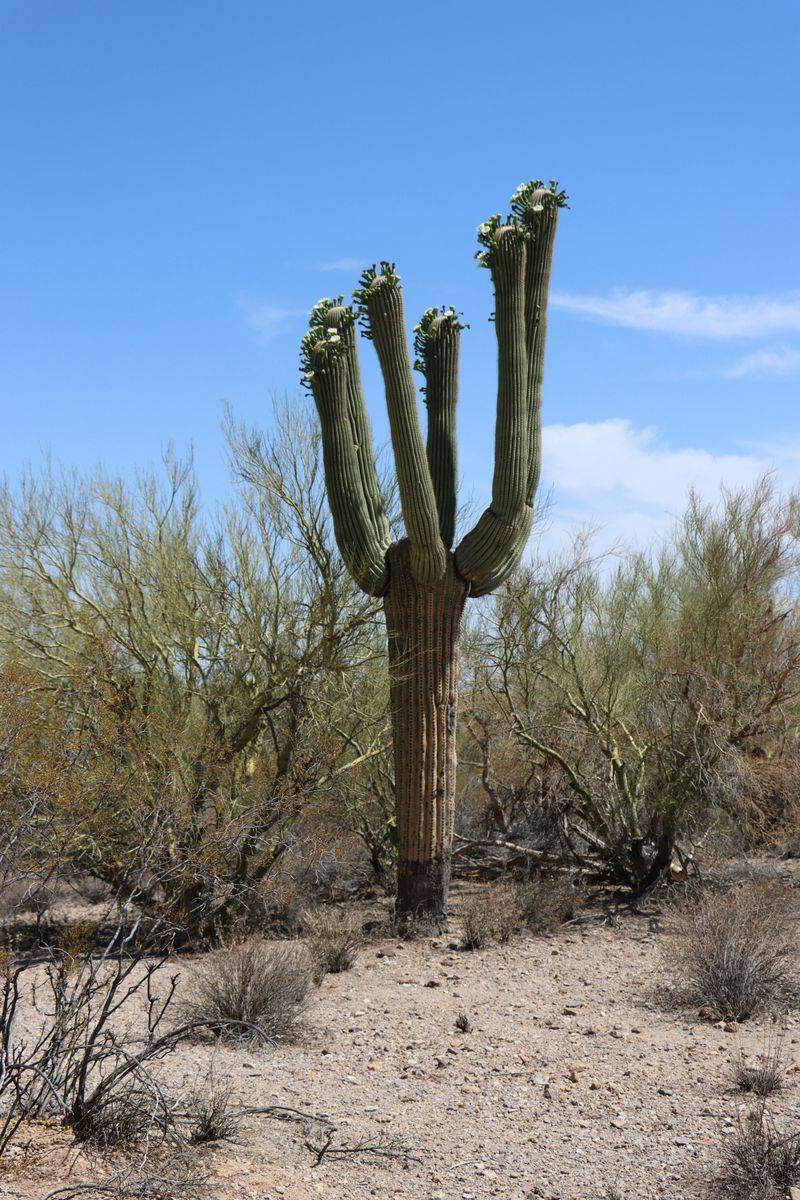 Perfect Photo Angles Require Local Knowledge