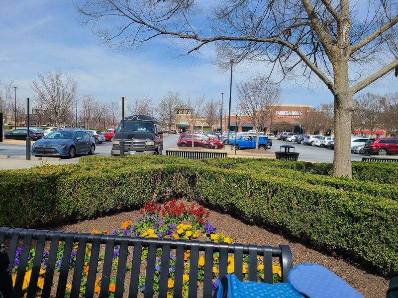 Practical Tips For Navigating The Greenridge Experience