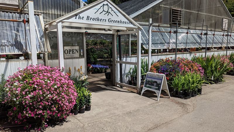 The Handcrafted Garden Decor Shop
