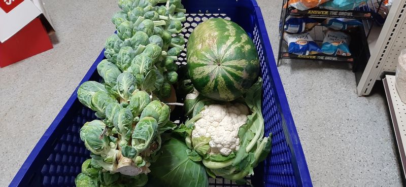 Seasonal Produce And Fresh Hanging Flowers