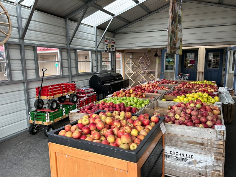 Seasonal Produce, Apples, And Garden Starts