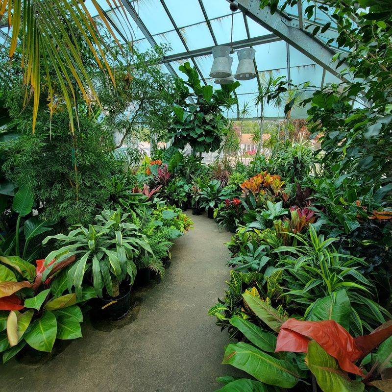A Year-Round Destination For Plant Lovers
