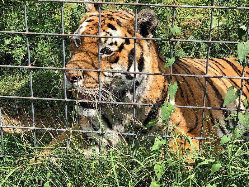 Time Zones And Timing