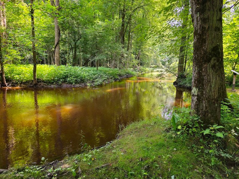 Listening For The Quiet