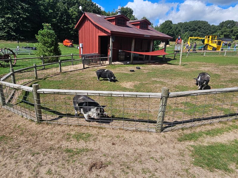 Little Oddities That Make The Day