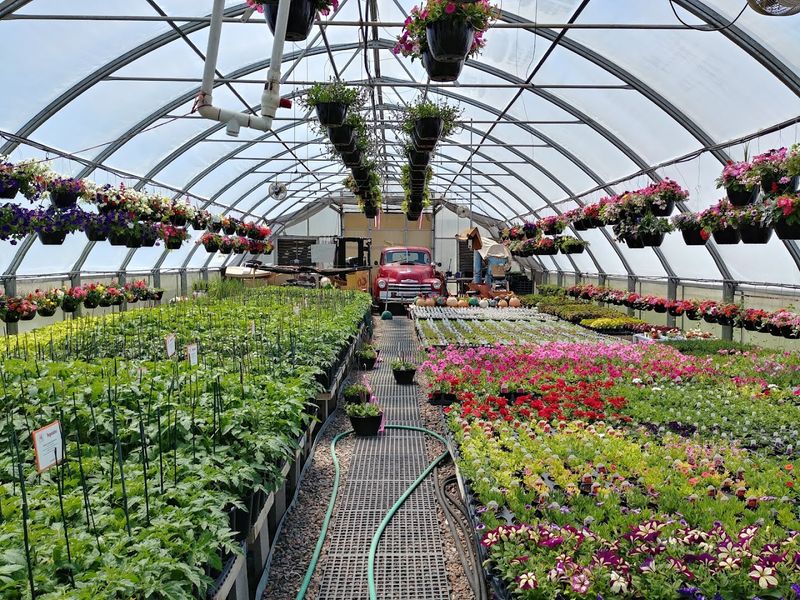 Seasonal Shifts That Make Every Visit Feel Different