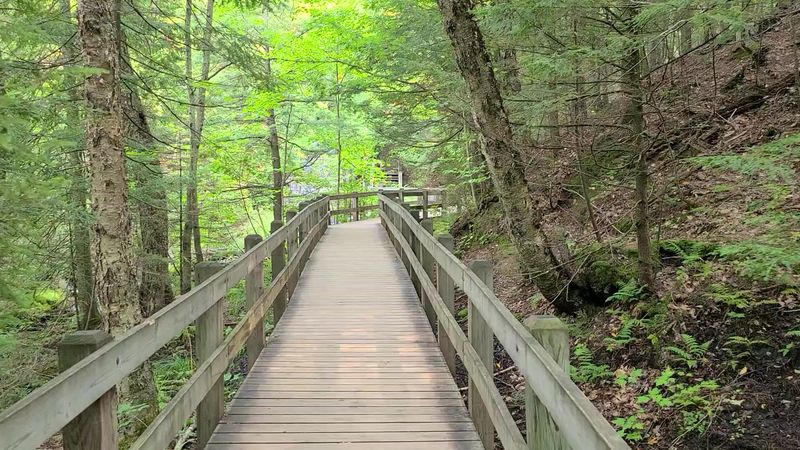 Give Space On The In And Out