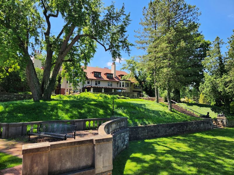 Inside The House, Stories In Wood