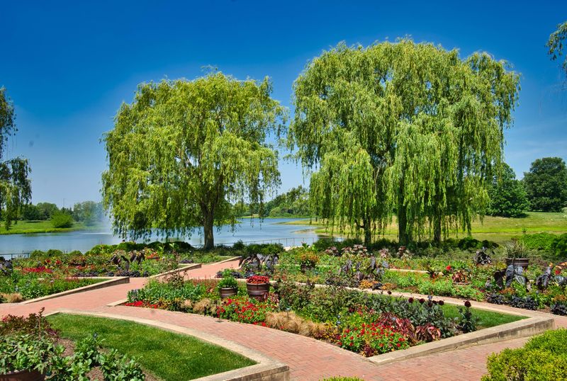 Fruit And Vegetable Garden: Beauty You Can Eat