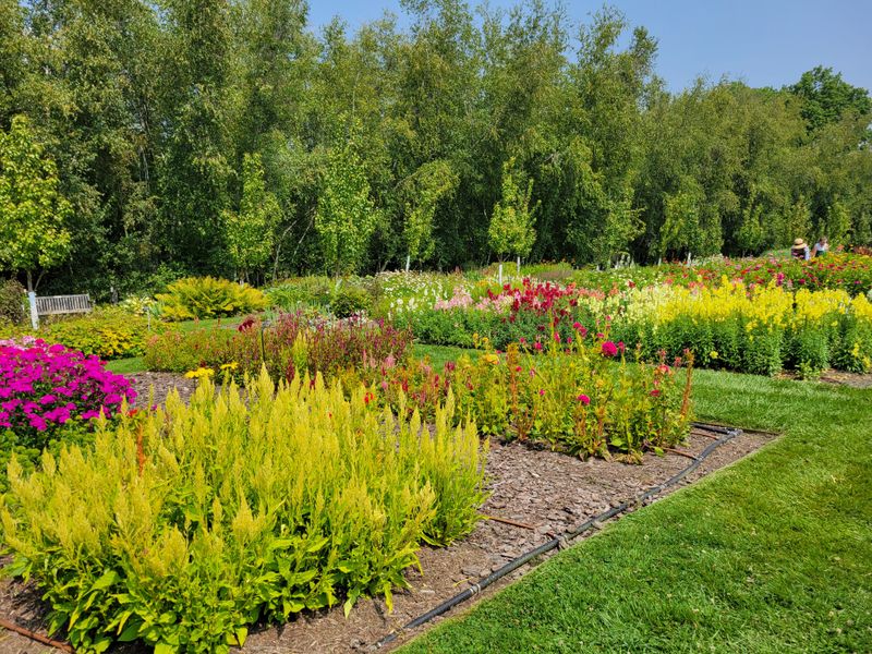 Gardens That Span Seasons