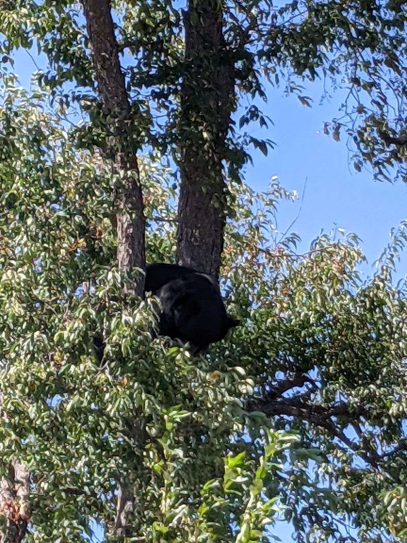 Learning Through Little Details