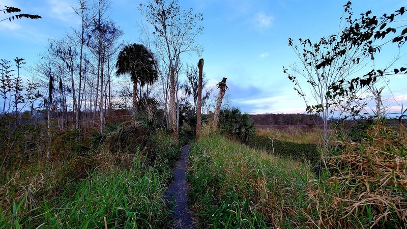 Boardwalk Bonus Views