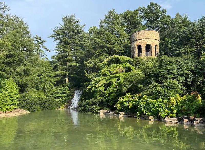 The Meadow Garden: A Wilder, More Untamed Side