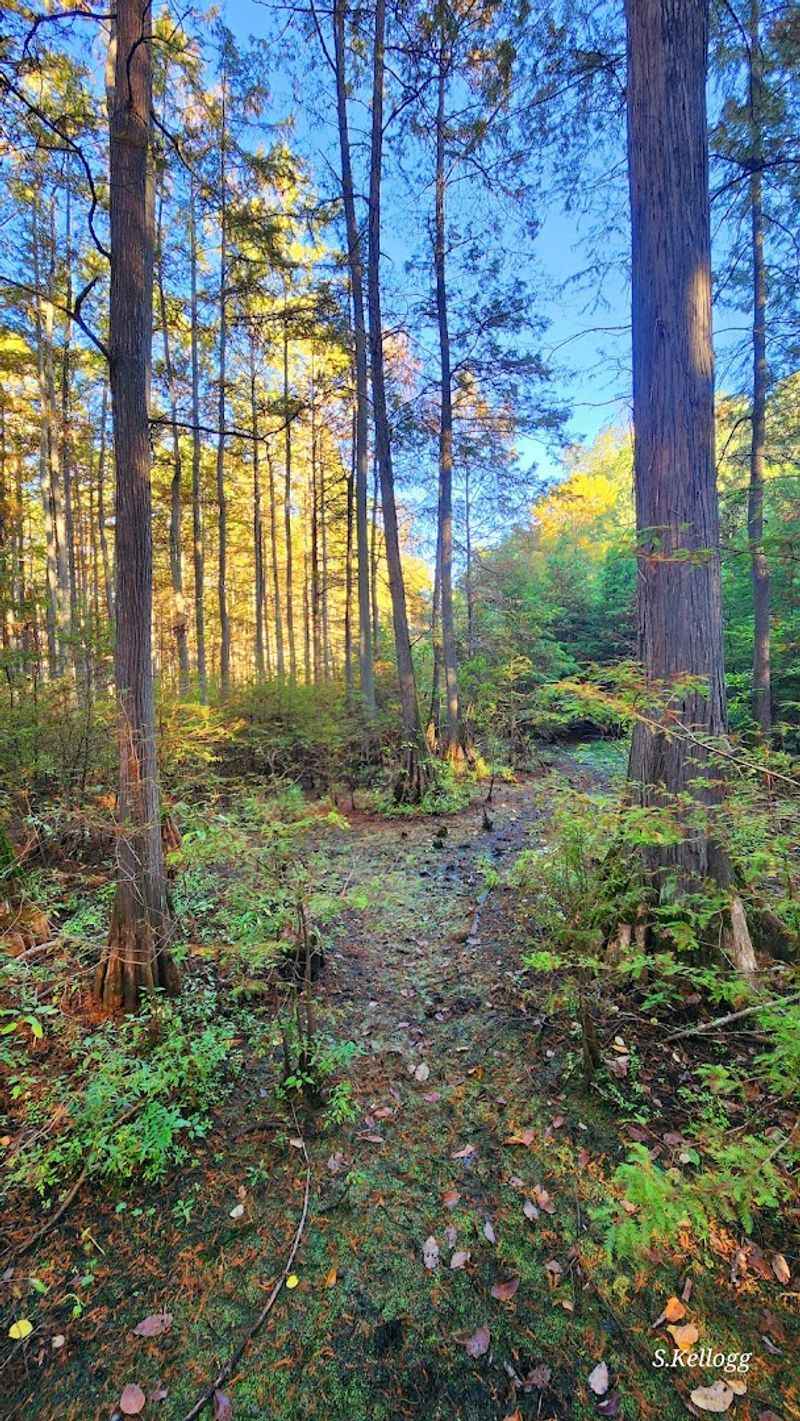 The Adventure Getting There