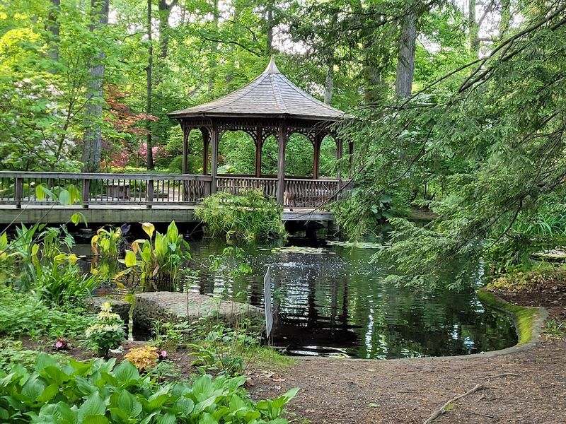 Water Features and Peaceful Gathering Spots