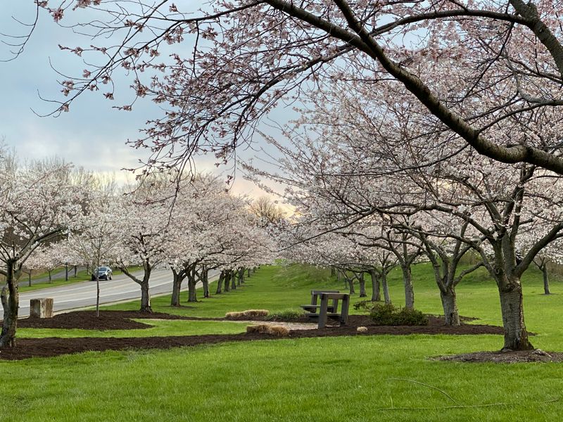 Photography Opportunities at Every Turn