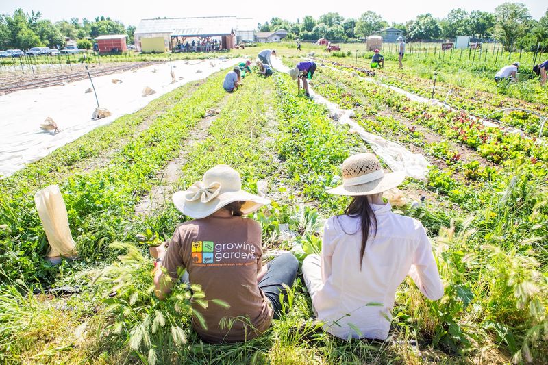 Growing Gardens As A Community Non-Profit Worth Supporting