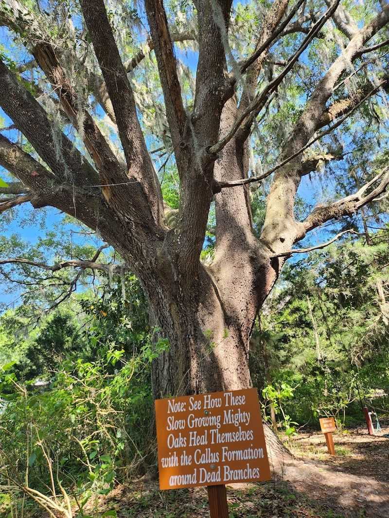 Christmas in the Quarry Turns the Garden Into a Light Show