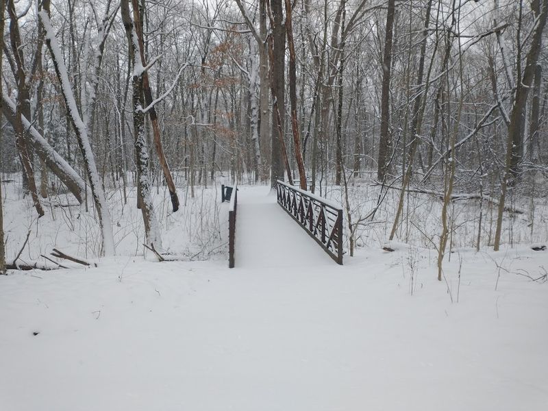Seasonal Visits and What to Expect