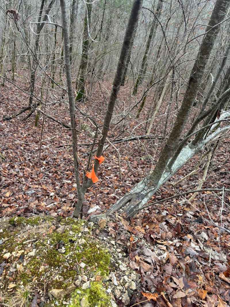 Trailhead Access And Limited Parking Considerations