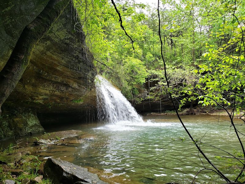 Seasonal Waterfalls Over Stone Ledges