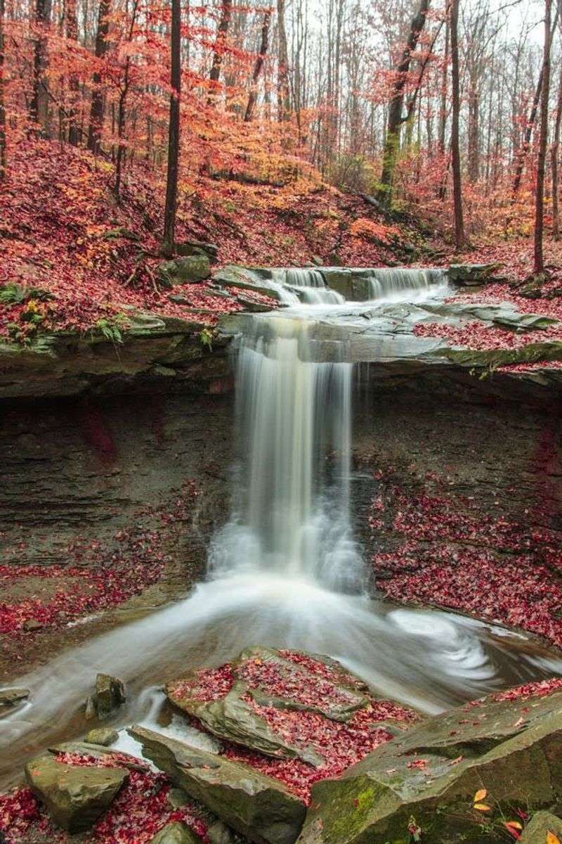Seasons Change Everything Here