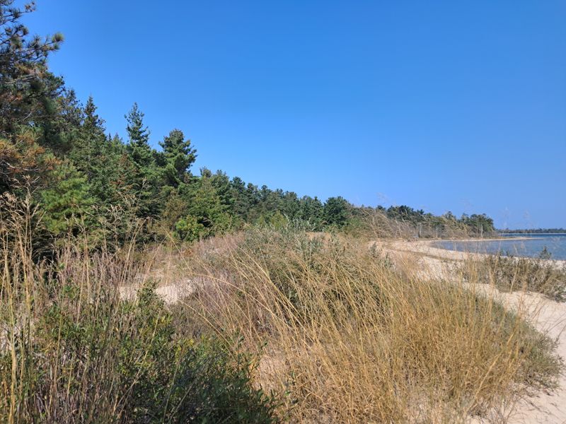 Wayfinding Like A Local