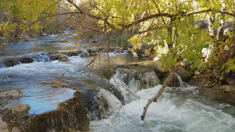 Seasons, Crowds, And Monsoon Smarts
