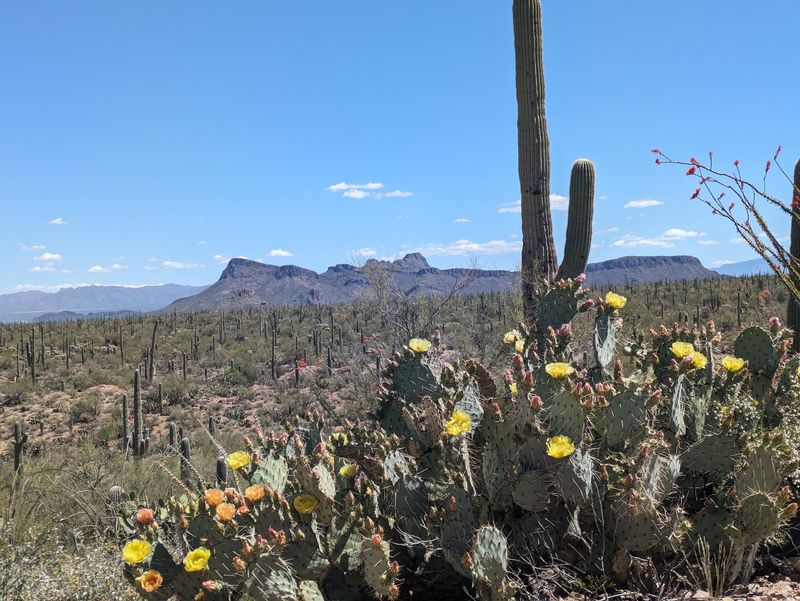 Seasons, Heat, and What to Pack