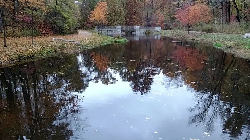 Seasons In The Woods Seasons In The Woods