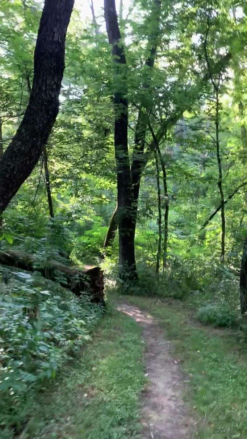 Practical Tips That Save Your Day