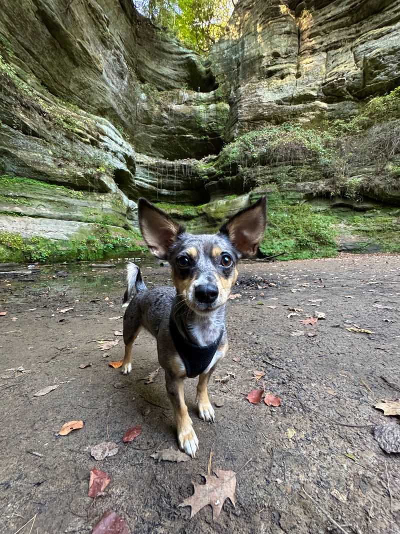 Photography Tips Without The Fuss