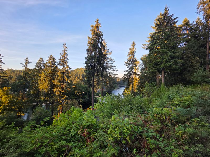 Valentine’s Day, Lake Style