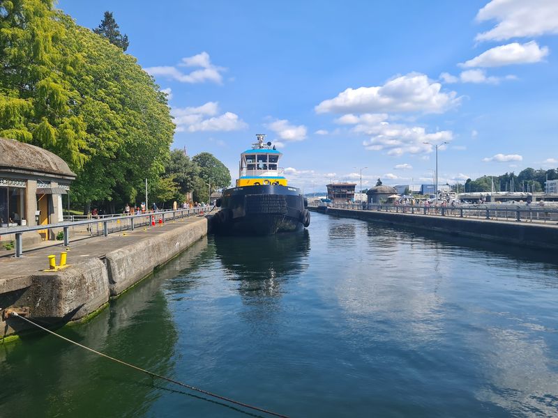 Seattle's Free Water Elevator For Boats And Fish