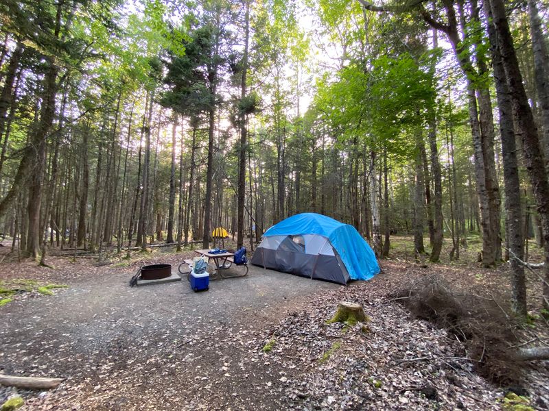 Seawall Campground, Southwest Harbor Seawall Campground, Southwest Harbor