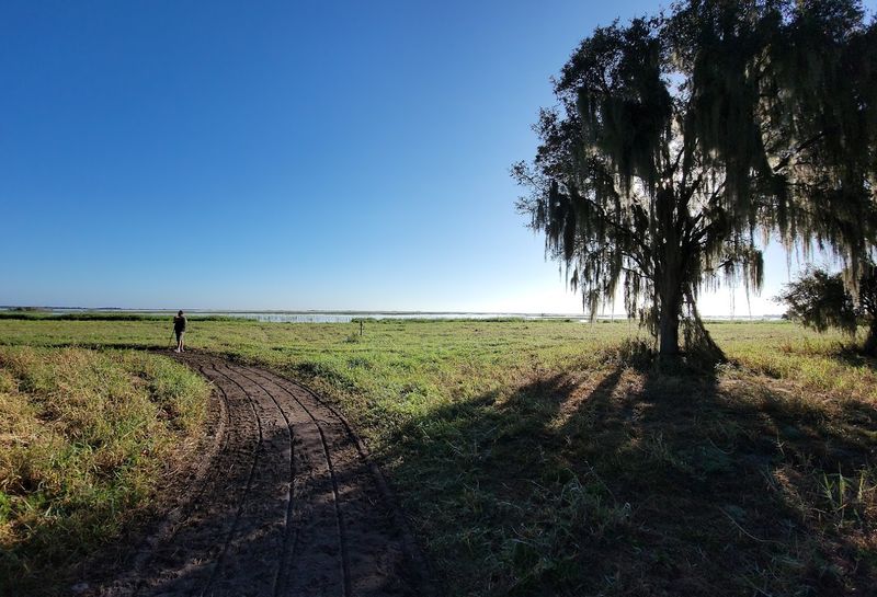 Lake Kissimmee State Park Campground, Lake Wales