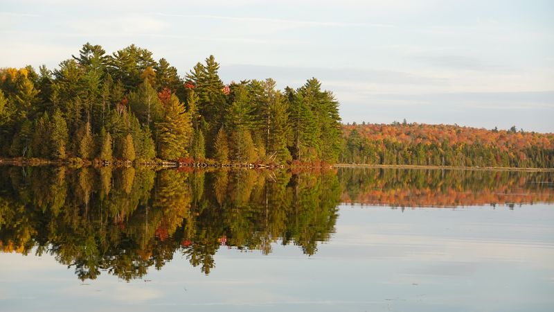 Seboeis Public Reserved Lands, Brownville Area