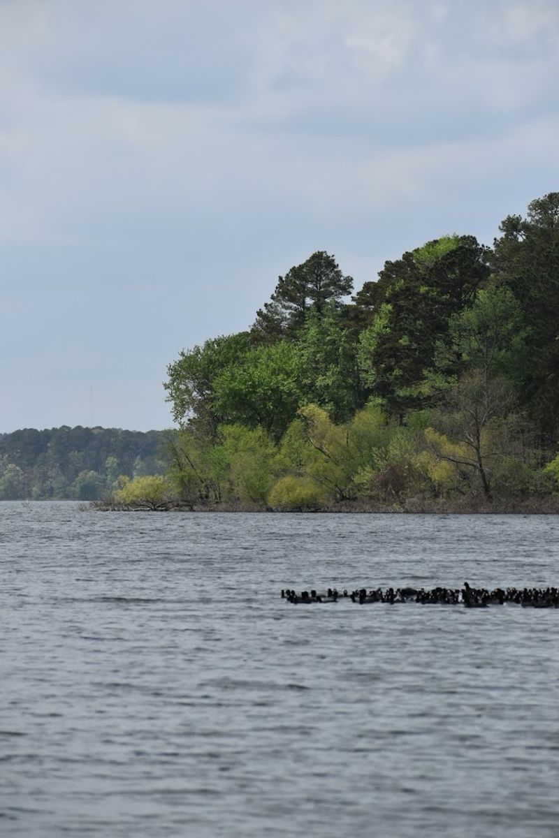 Boating Kayaking And Trophy Fishing Access