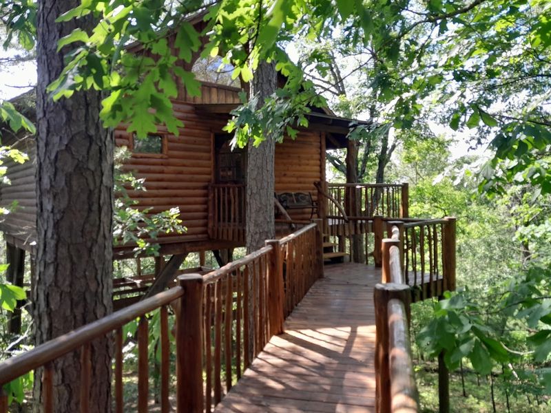 Elevated Walkways Leading To Private Canopy-Level Suites