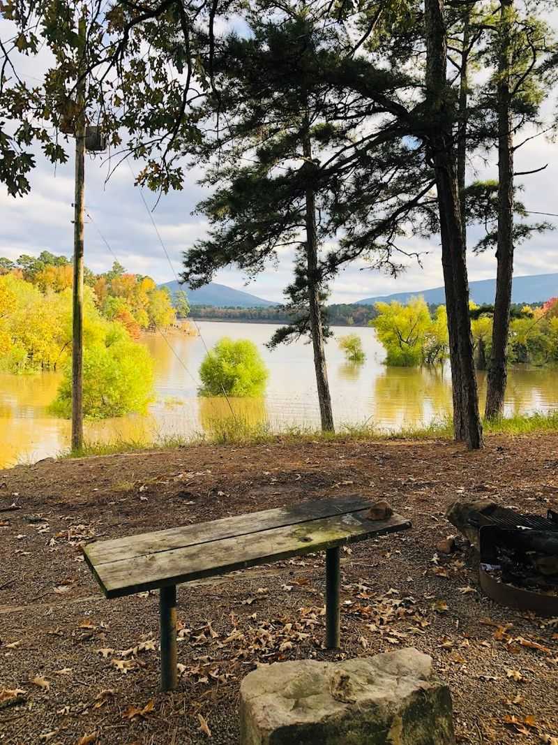 Wildlife Sightings Along Quiet Banks