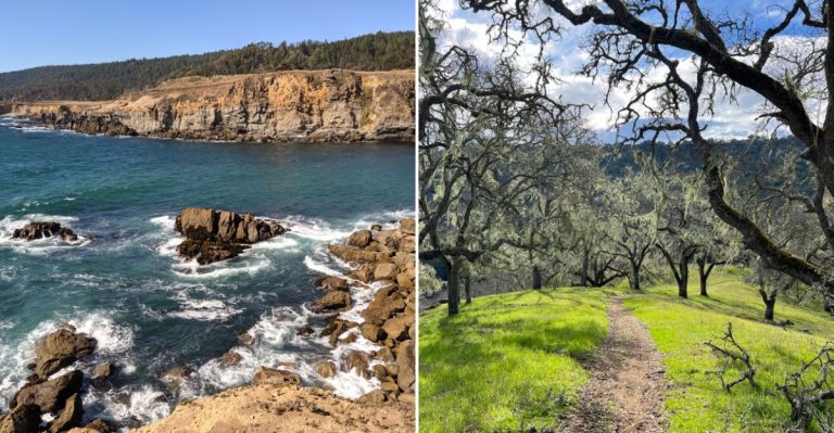 Secret Getaways in California: Stunning State Parks You Should Visit