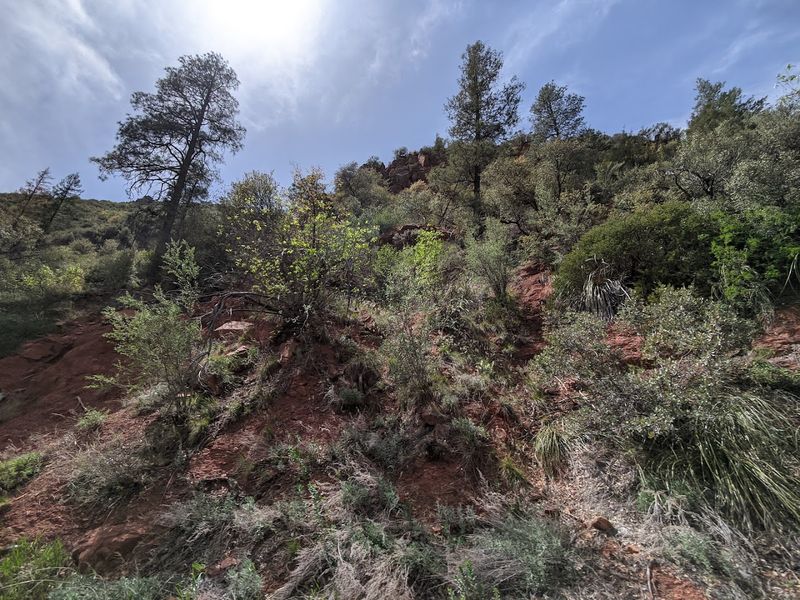 Oak Creek Canyon: Nature's Masterpiece