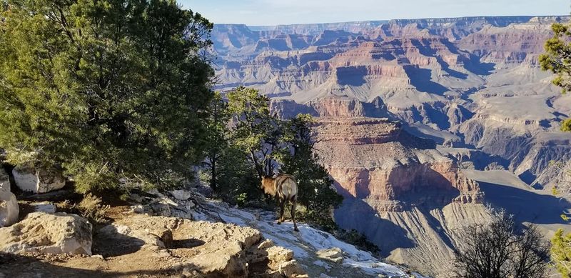 Grand Canyon South Rim, Arizona’s Big Show